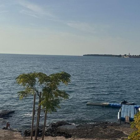 Fortuna Apartment Tar-Vabriga المظهر الخارجي الصورة